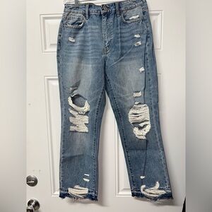 Flying monkey distressed crop 7/28